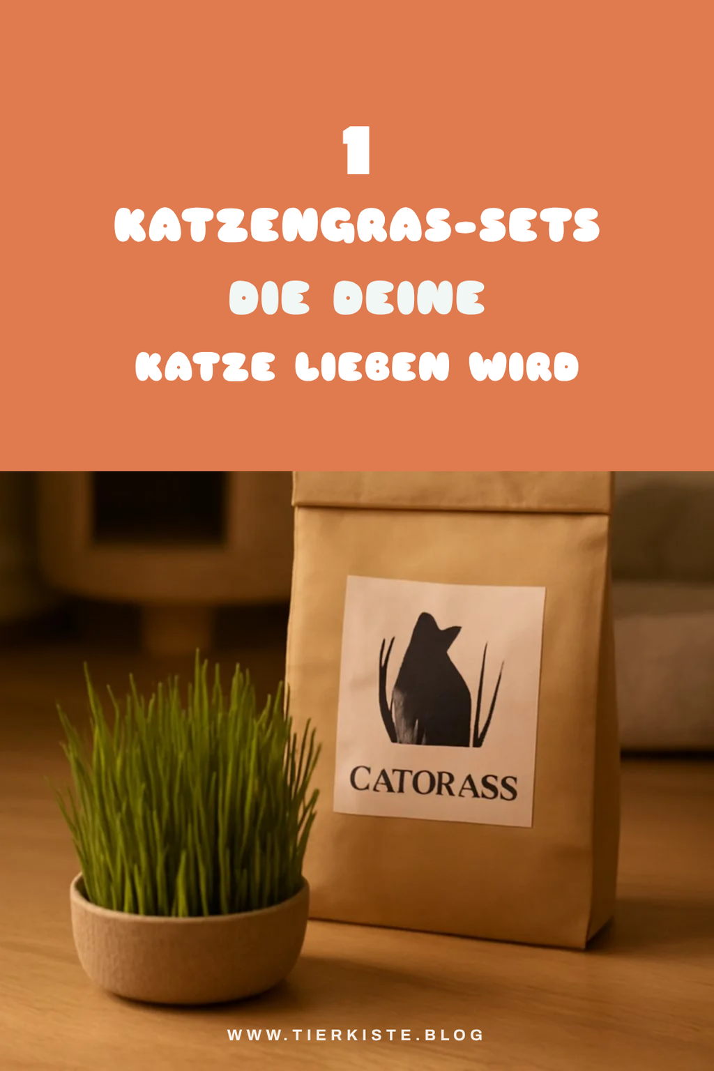 Mehr Empfehlungen aus dieser Kategorie