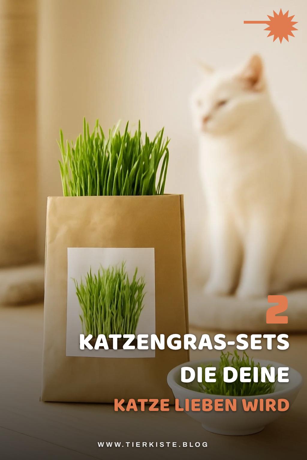Zusätzliche Tipps, die noch reinpassen