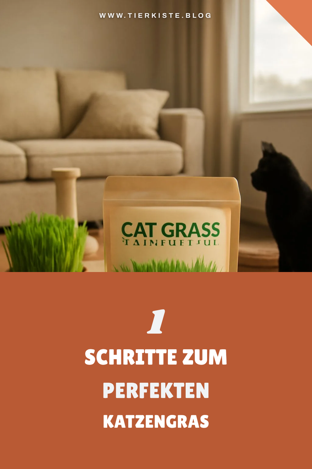 Mehr Empfehlungen aus dieser Kategorie