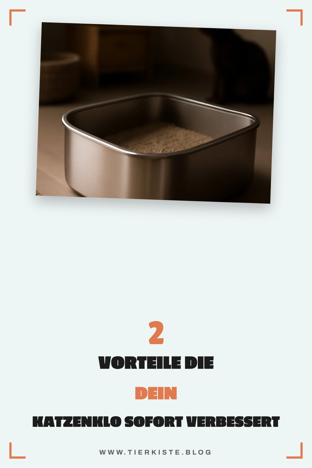 Welche Vorteile bietet ein Katzenklo aus Edelstahl?