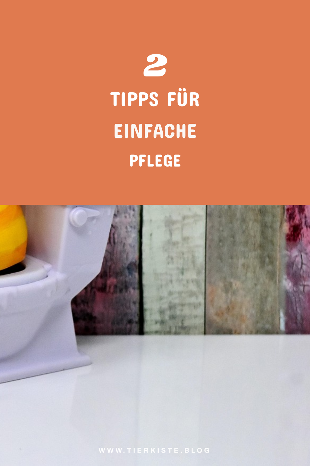 Tipps zur Pflege deines Katzenklos