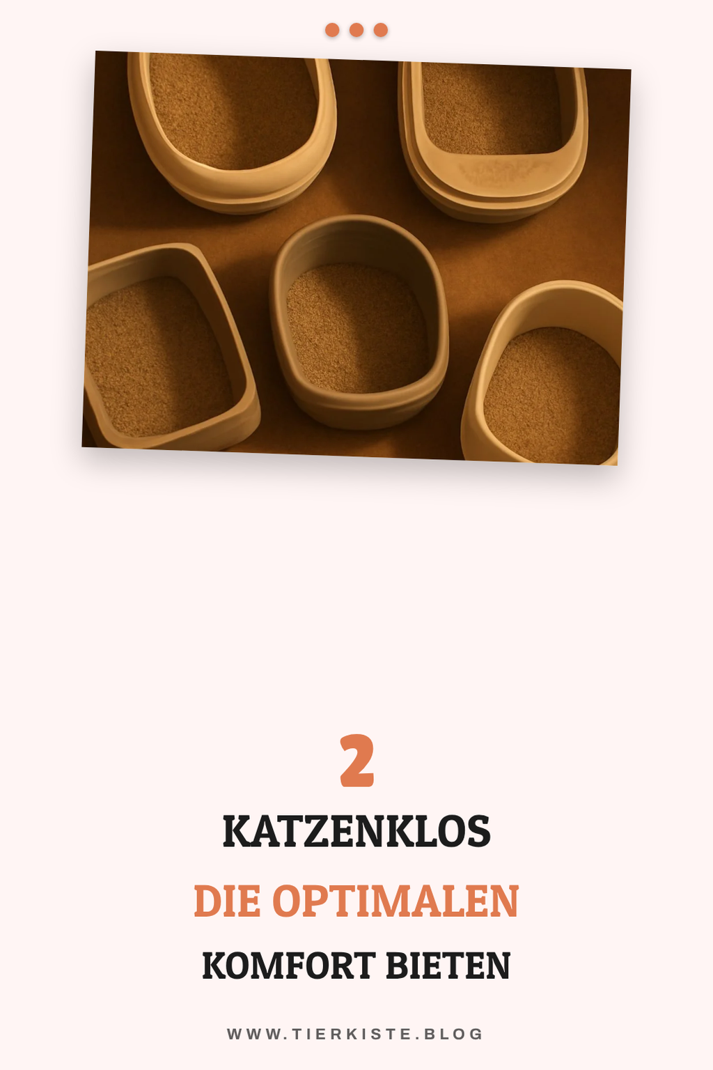 Diese 5 Katzenklos bieten optimalen Komfort für deine Katze