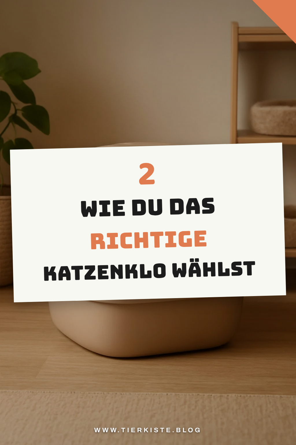 So wählst du das richtige Katzenklo für deine Katze
