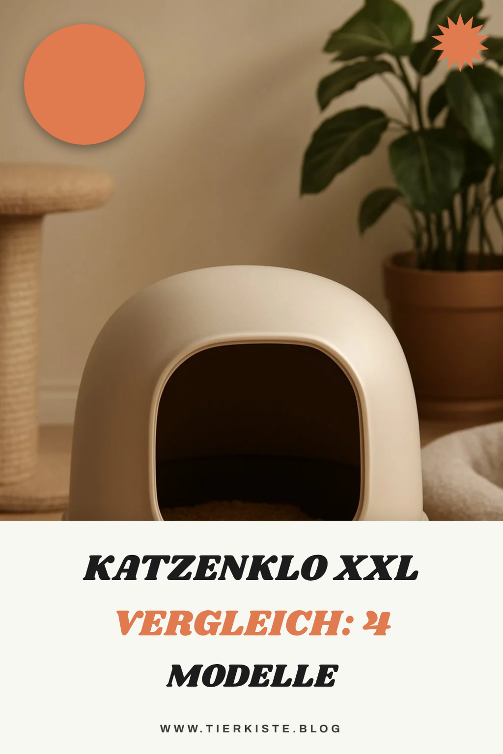 Katzenklo Xxl Vergleich: 4 Modelle im Check