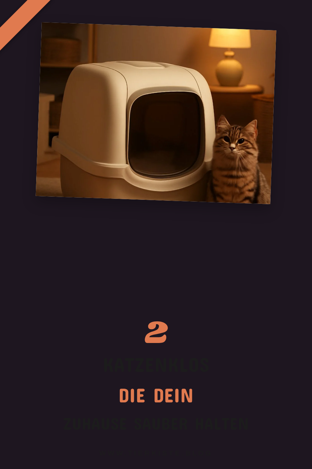 So findest du das perfekte Katzenklo XXL für deine Katze