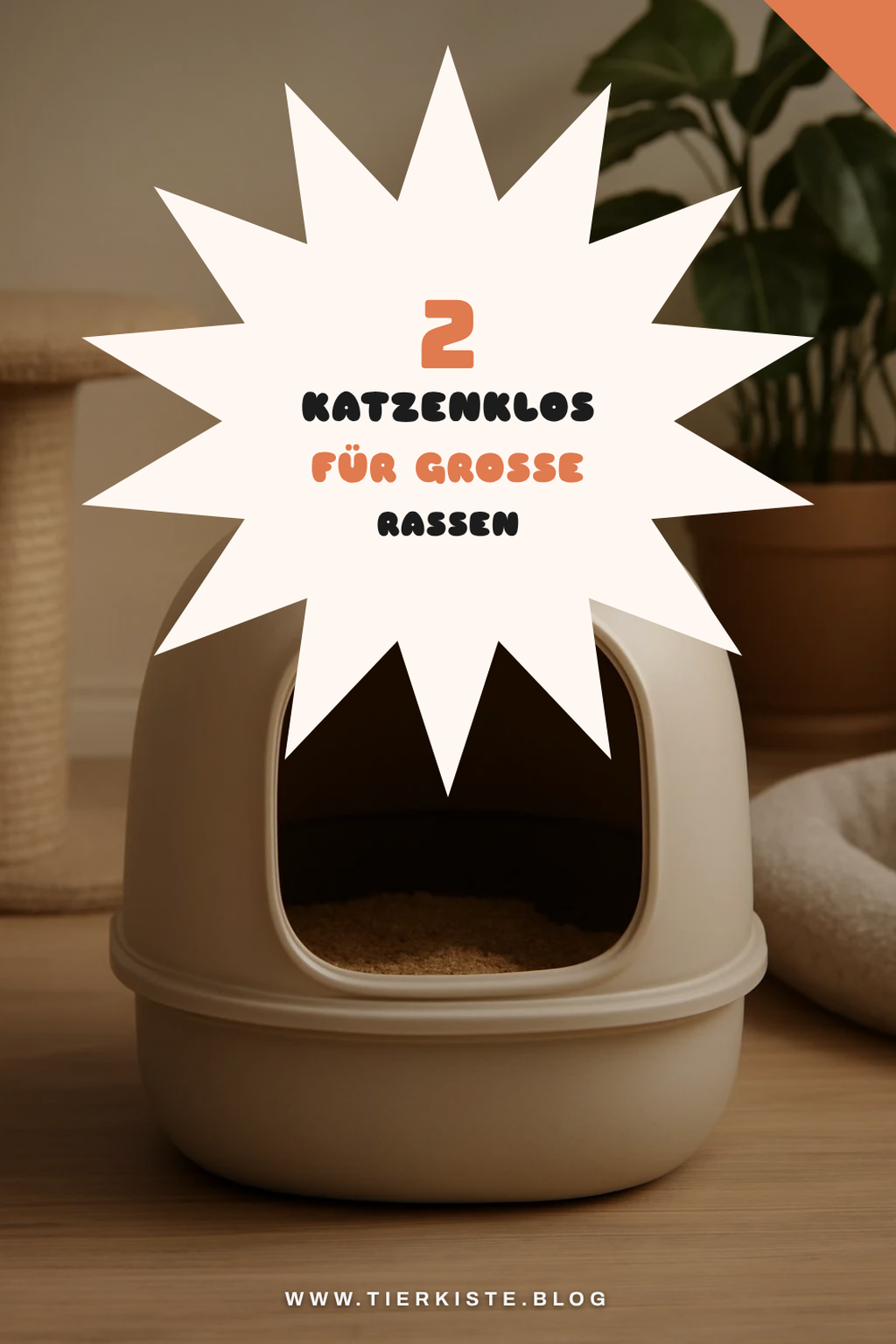 Diese Katzenklos bieten extra Platz für große Katzen