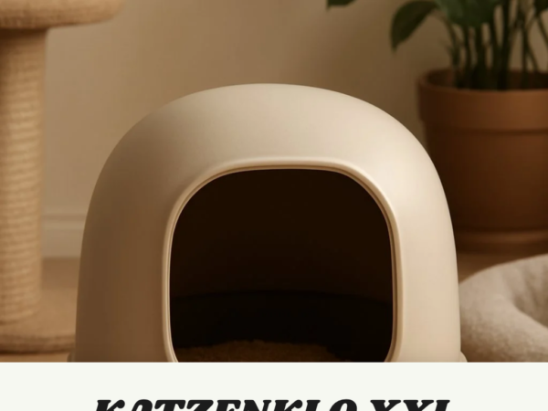 Katzenklo Xxl Vergleich: 4 Modelle im Check