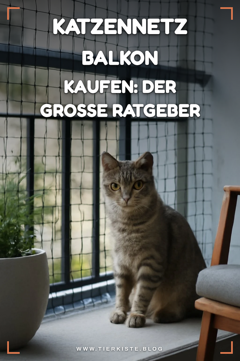 Katzennetz Balkon kaufen: Der große Ratgeber 2026