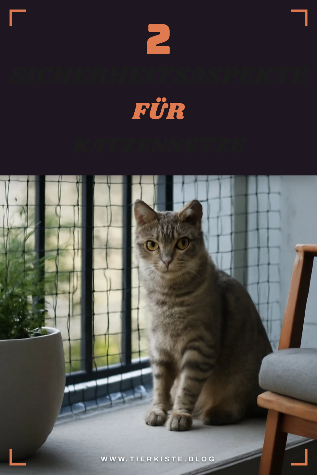 Sicherheitsaspekte bei Katzennetzen