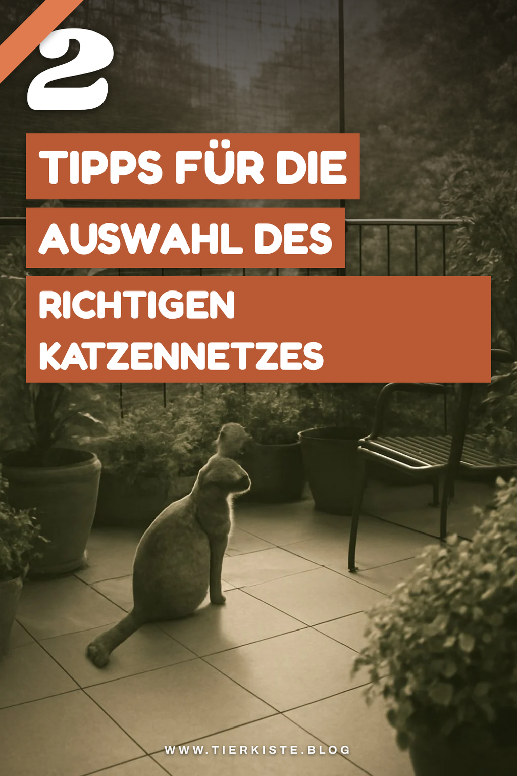 Das perfekte Katzennetz auswählen
