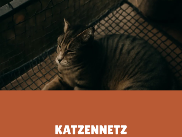Katzennetz Balkon ohne Bohren: Worauf du beim Kauf achten musst
