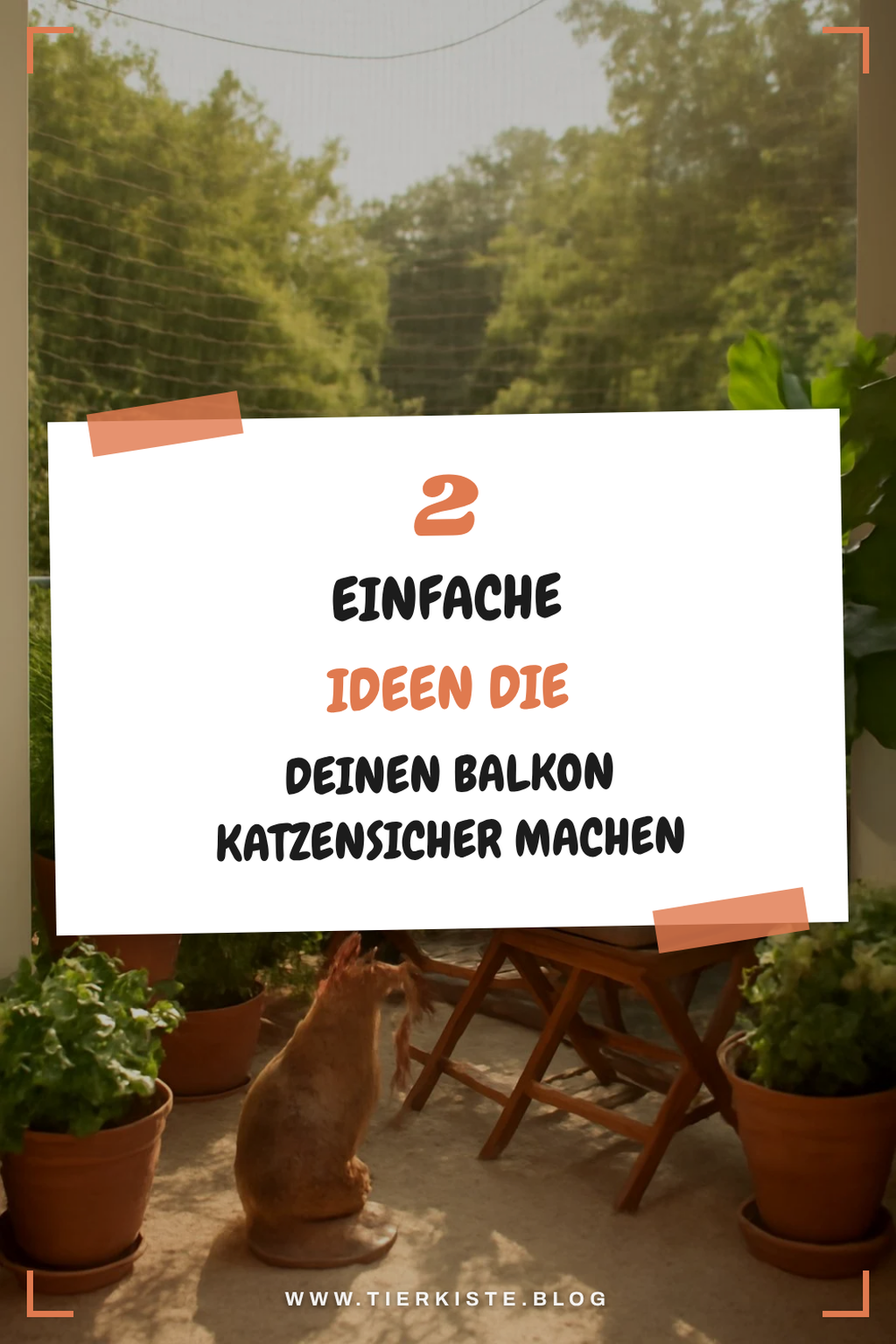 So sicherst du deinen Balkon für Katzen ohne Bohren
