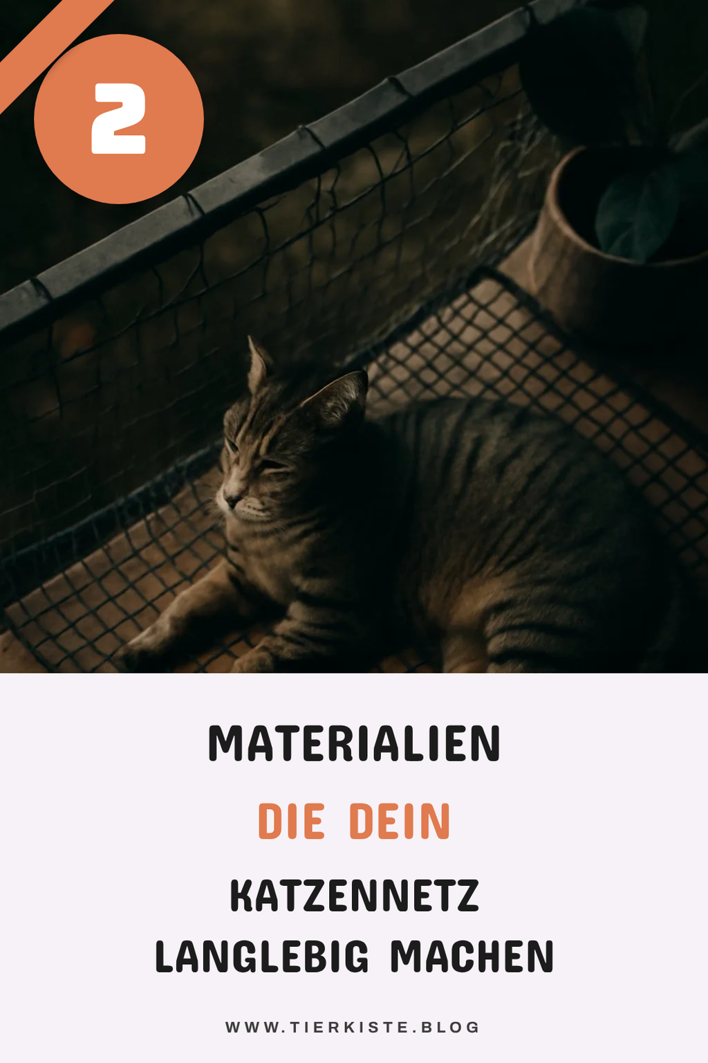Diese Materialien eignen sich für dein Katzennetz