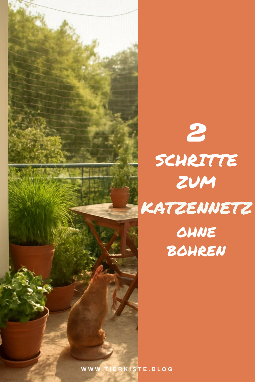 So installierst du dein Katzennetz ohne Bohren