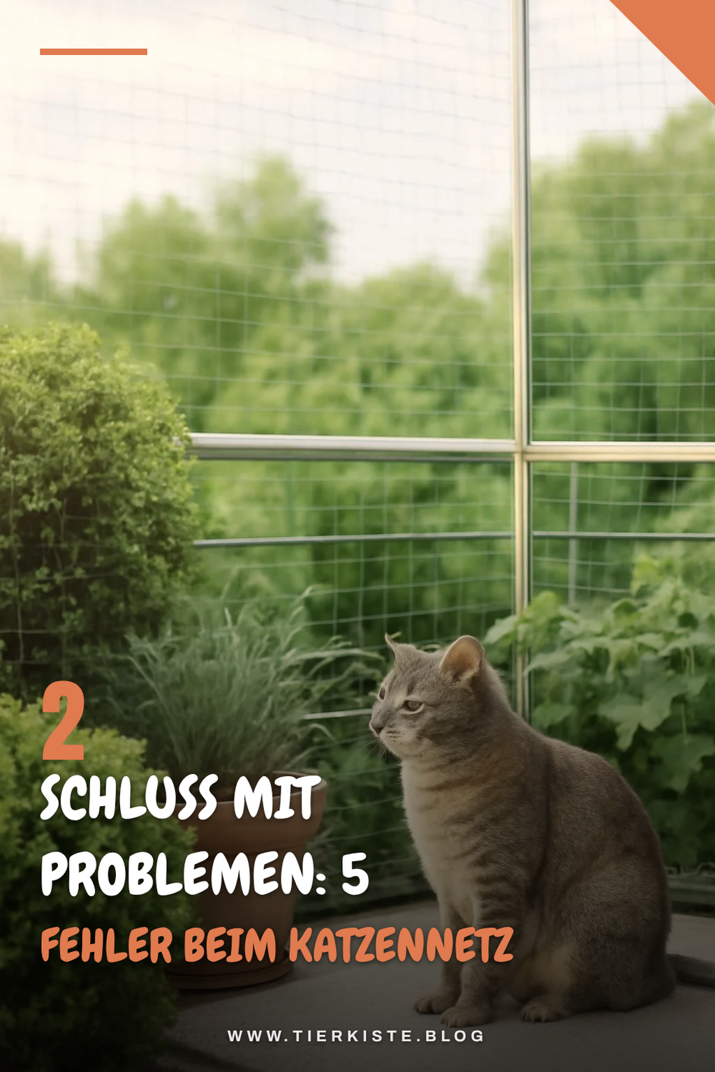 Diese Fehler gilt es zu vermeiden