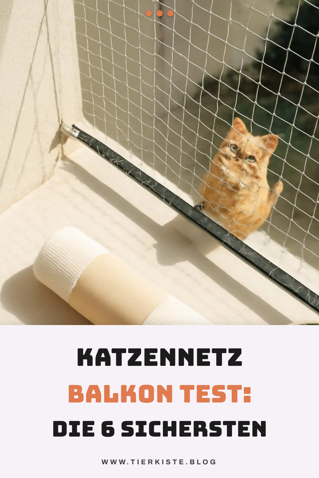 Katzennetz Balkon Test: Die 6 sichersten im Vergleich