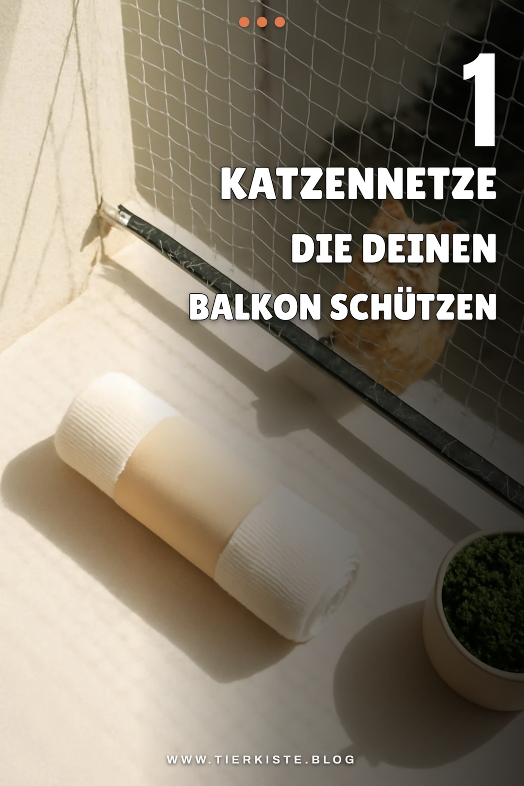 Mehr Empfehlungen aus dieser Kategorie