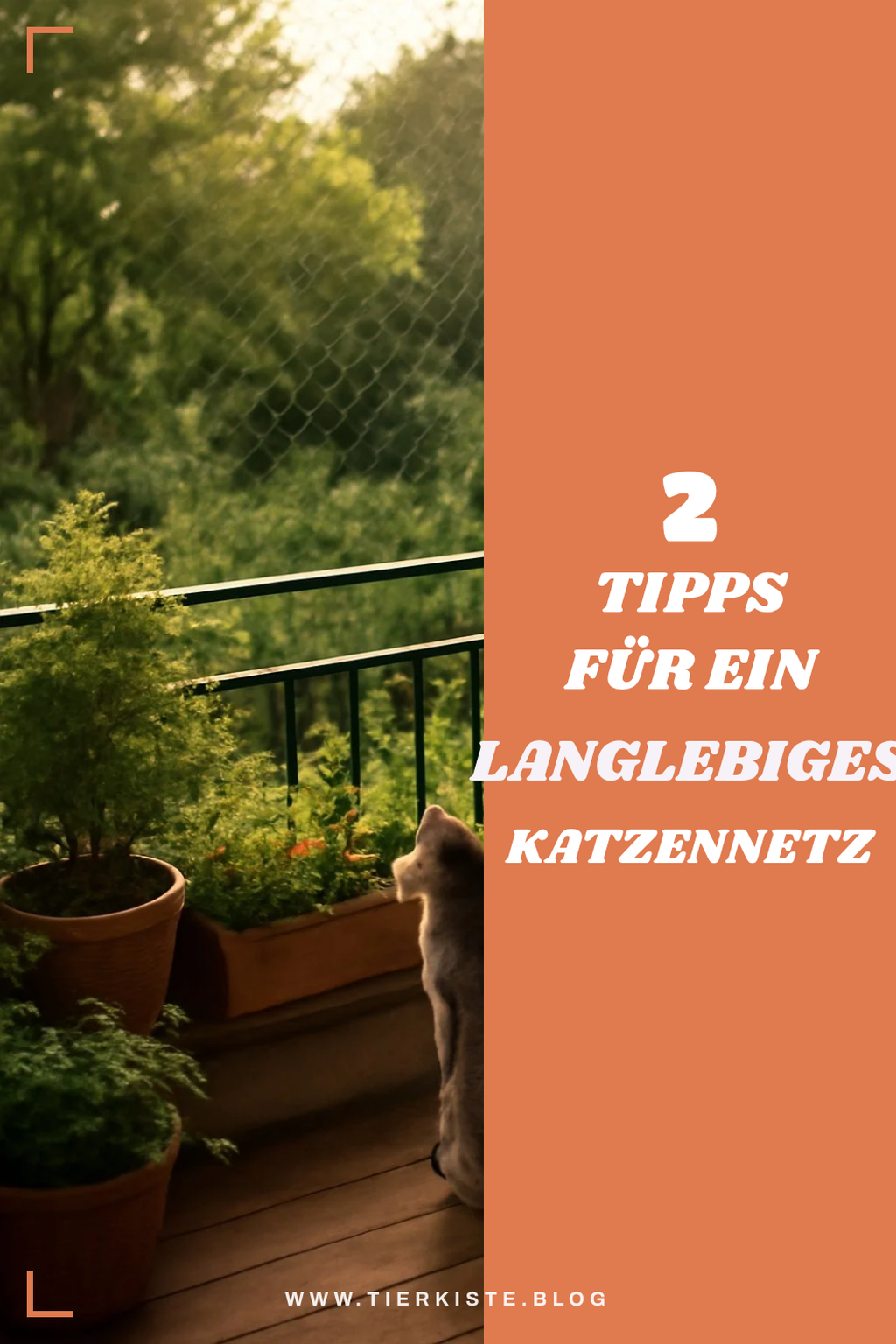 Diese 2 Tipps machen dein Katzennetz langlebig