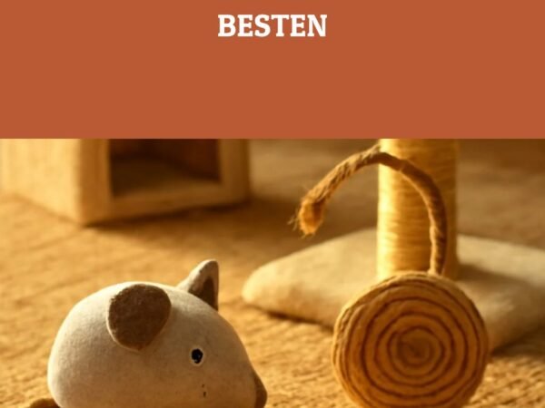 Katzenspielzeug kaufen: Die 7 besten im Vergleich 2026