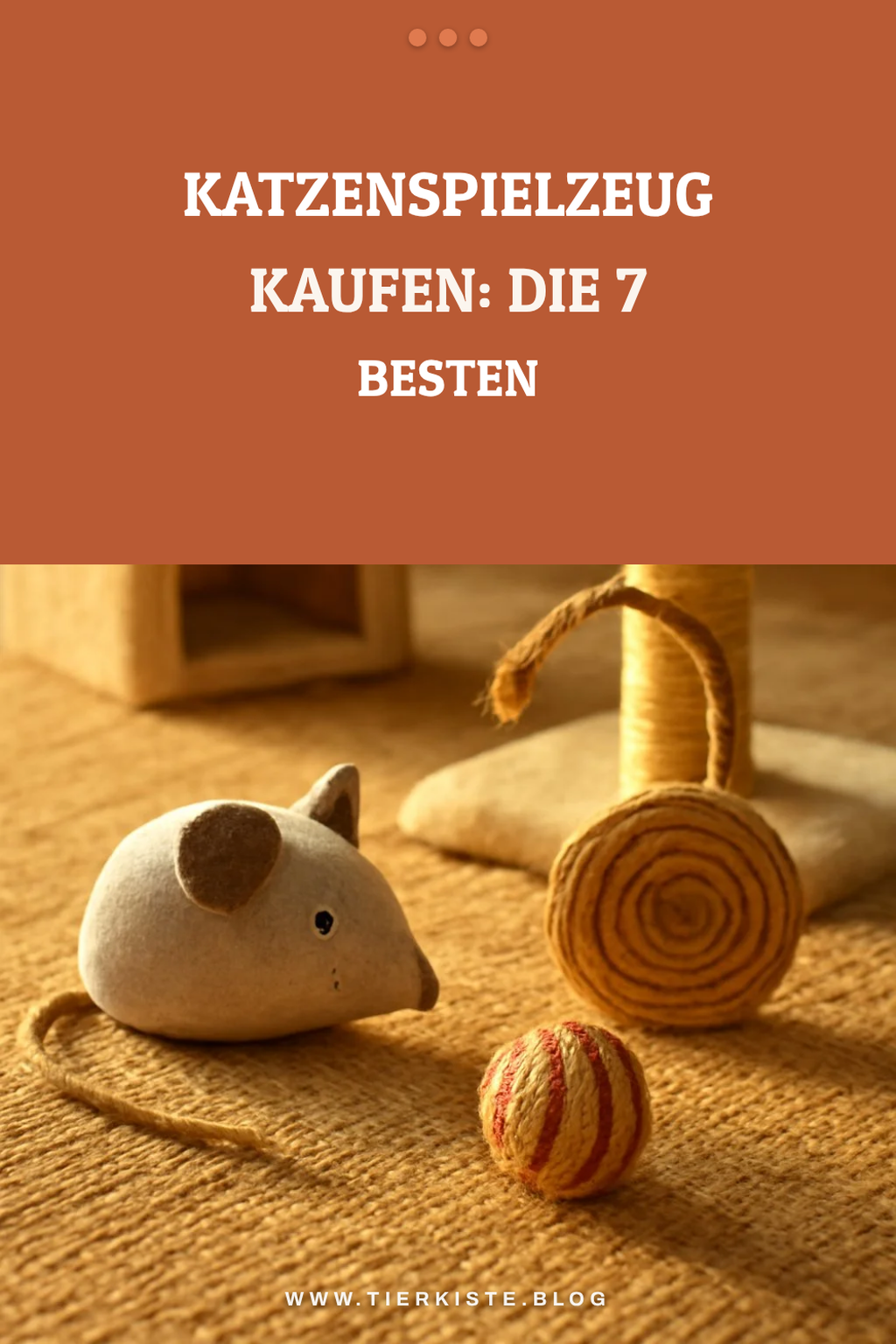 Katzenspielzeug kaufen: Die 7 besten im Vergleich 2026