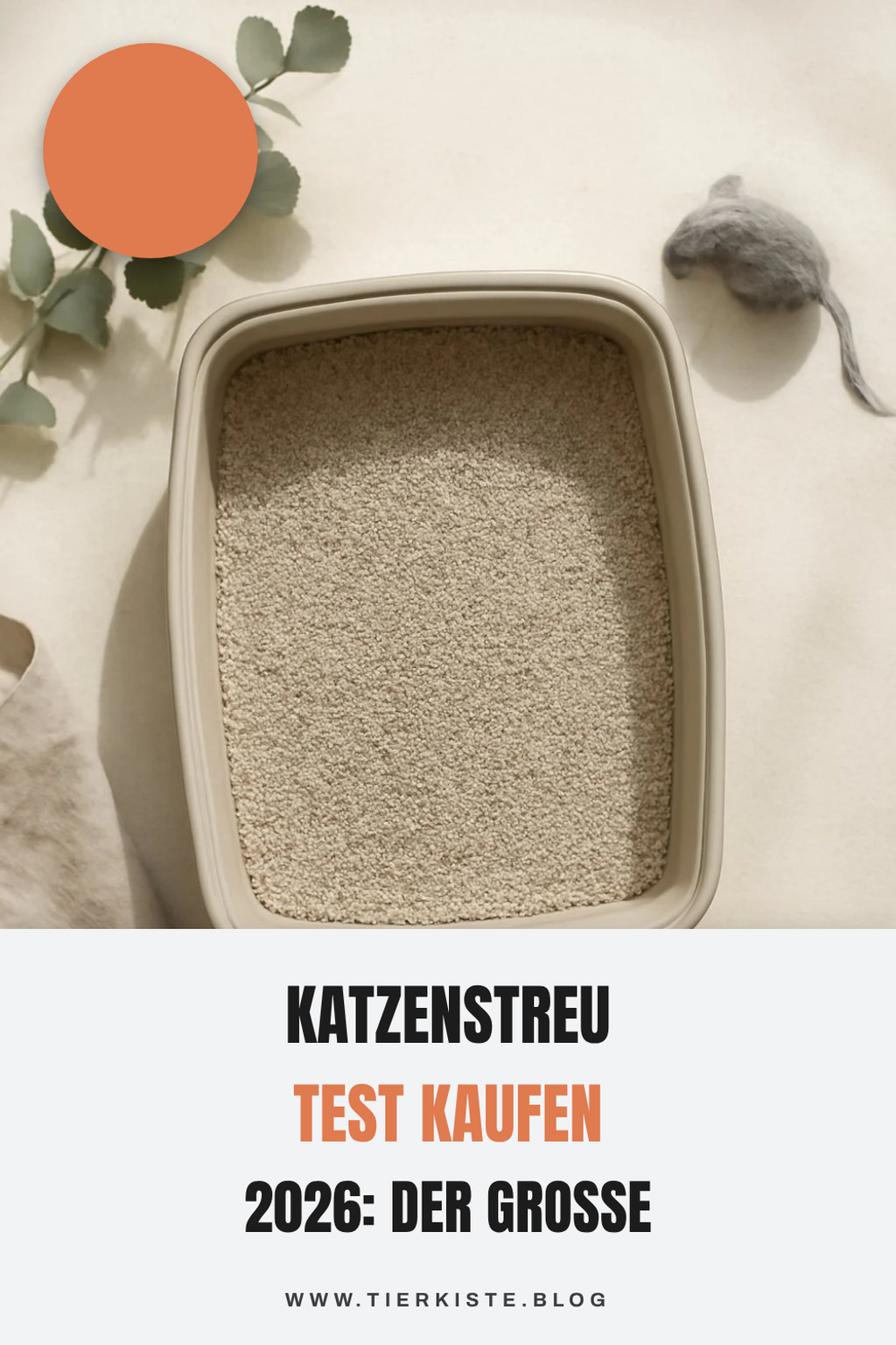 Katzenstreu Test kaufen 2026: Der große Ratgeber