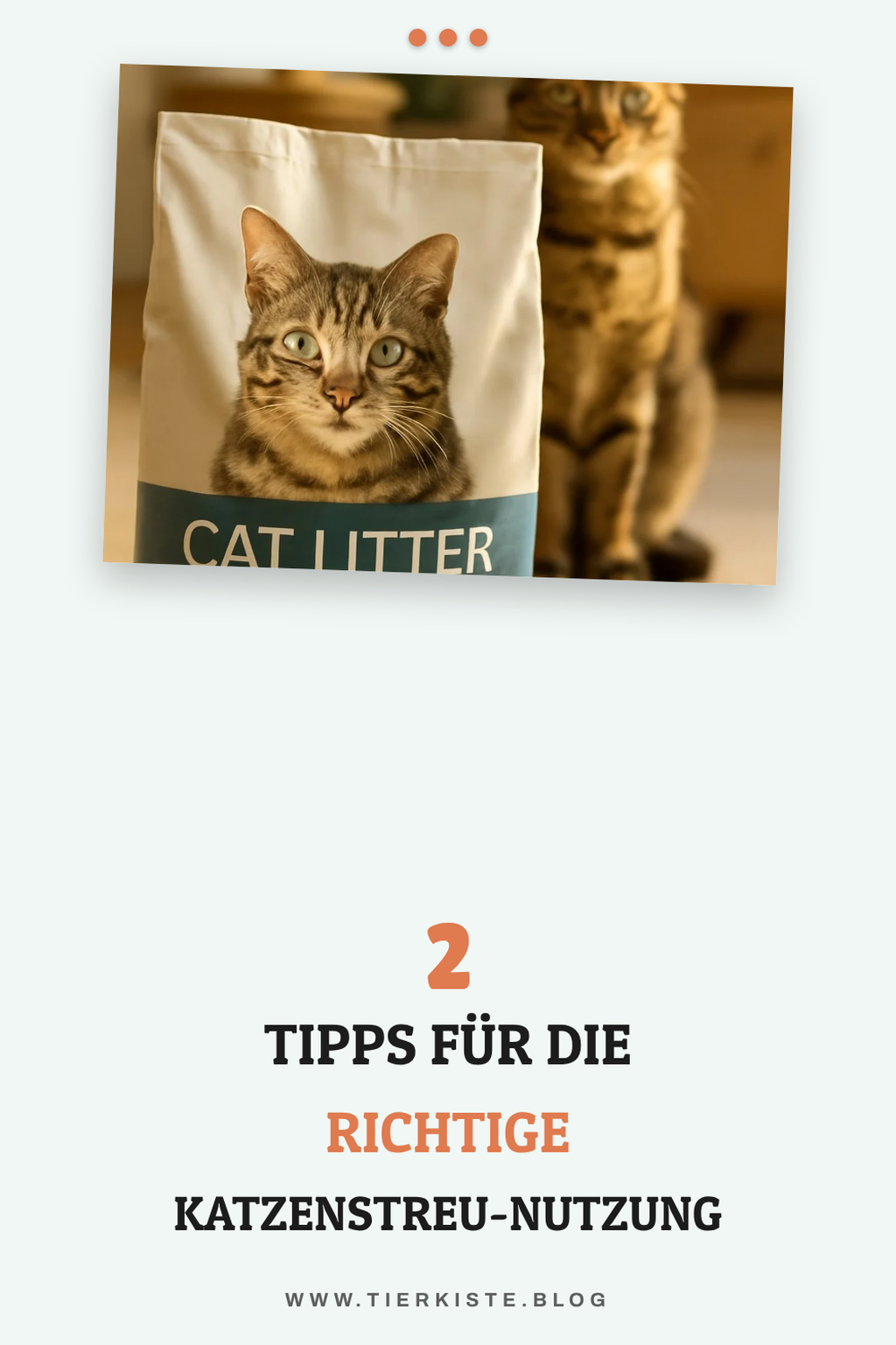 Tipps zur Anwendung von Katzenstreu