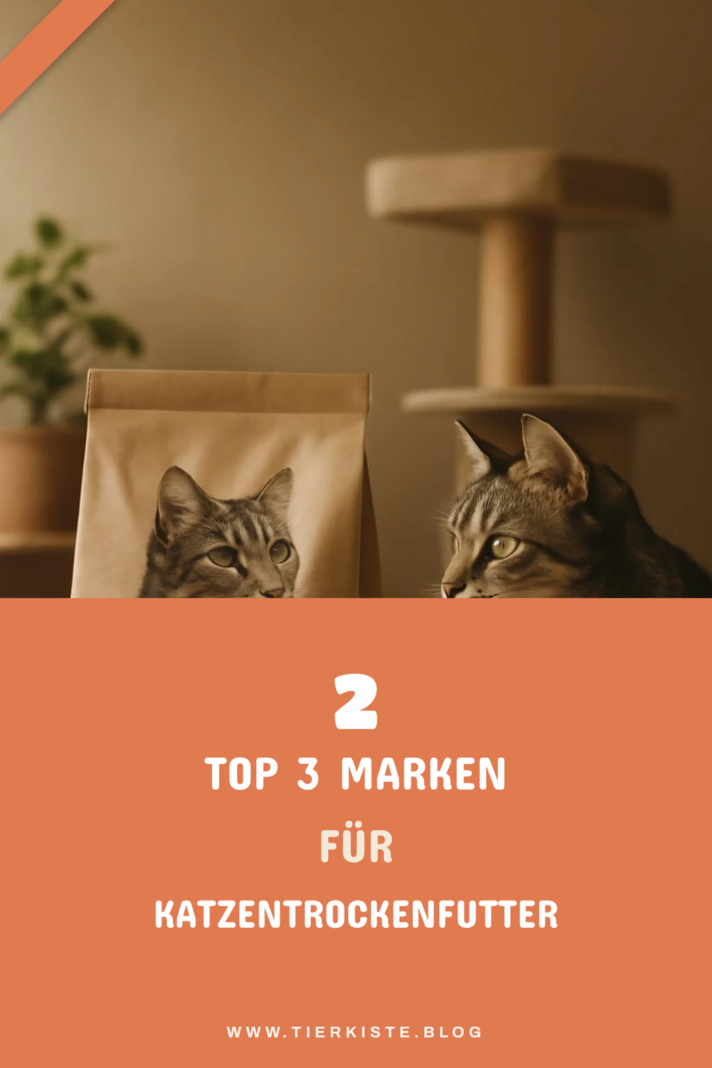 Diese Marken bieten hochwertiges Katzentrockenfutter an