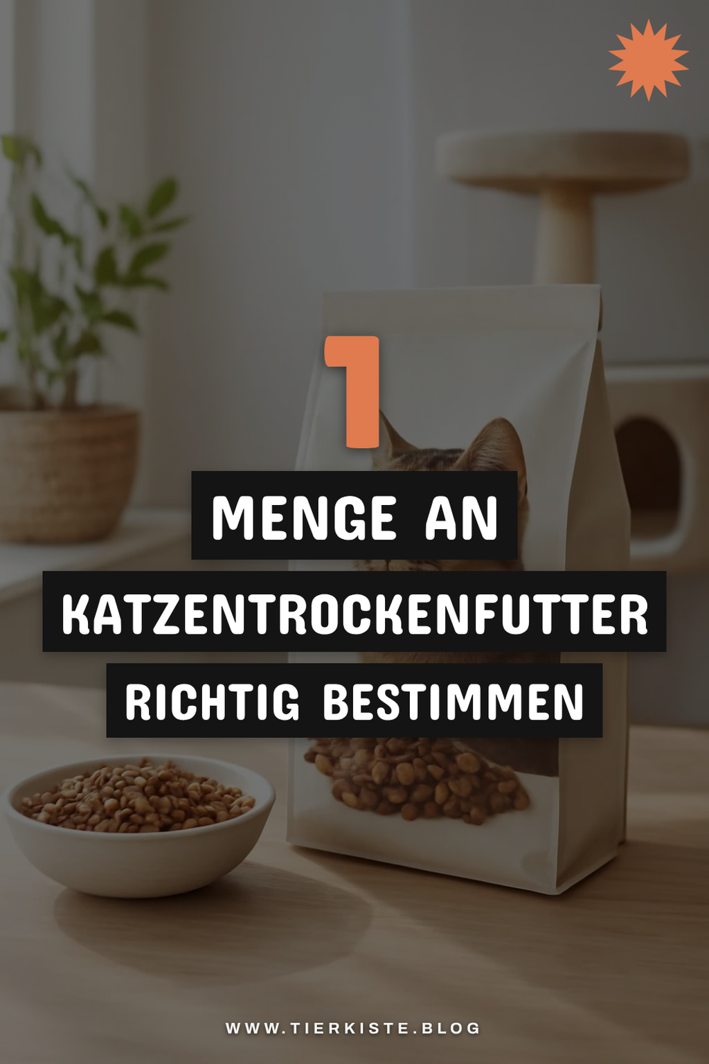 Wie viel Katzentrockenfutter sollte ich füttern?