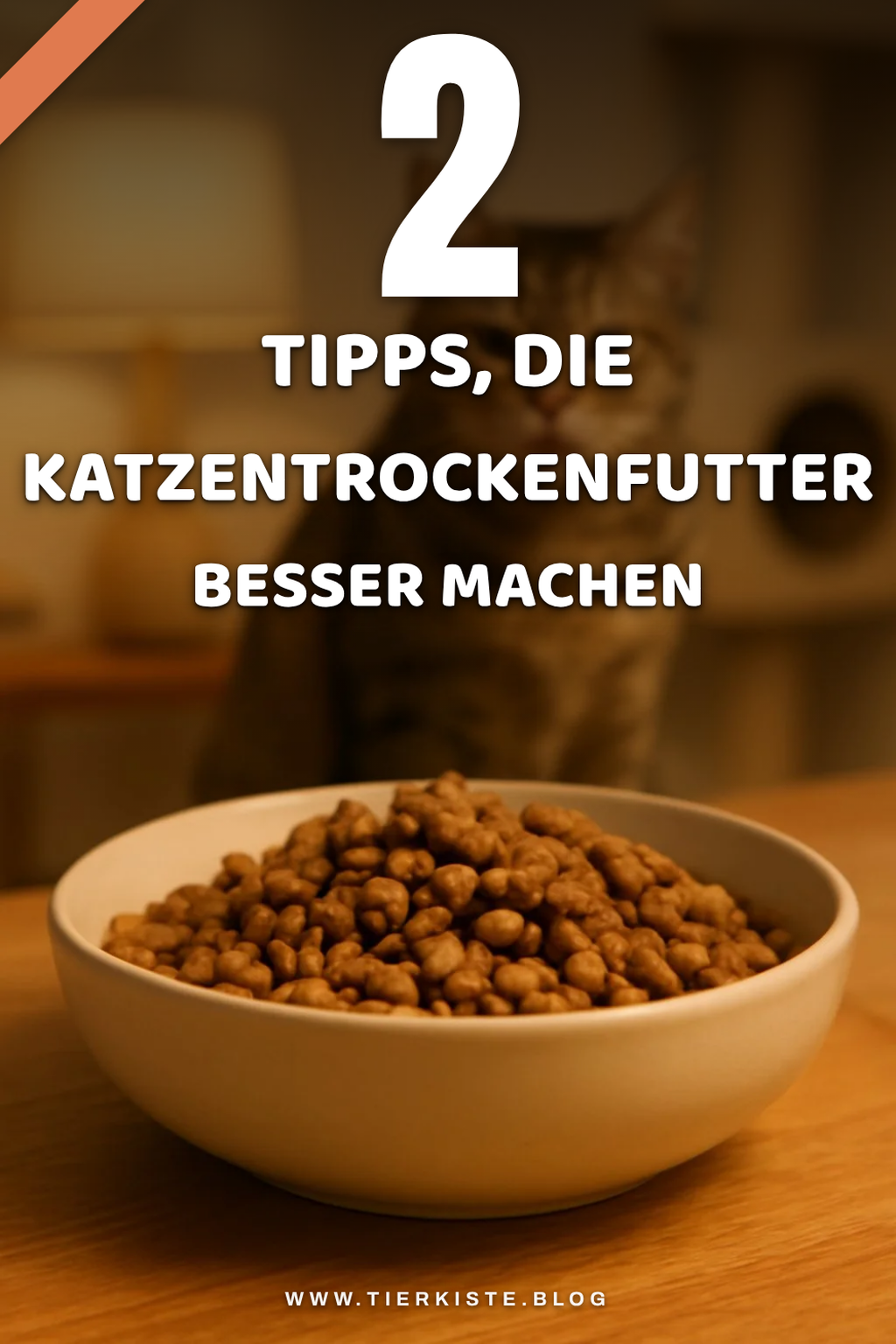 So wählst du das beste Katzentrockenfutter aus