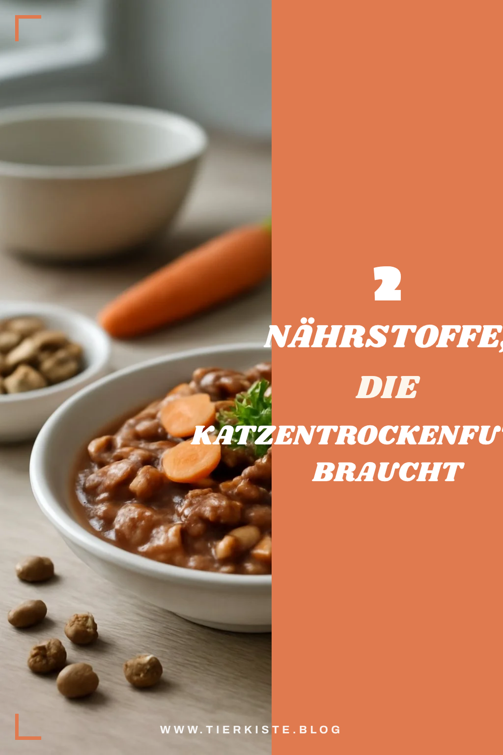 Diese Nährstoffe sind wichtig für deine Katze