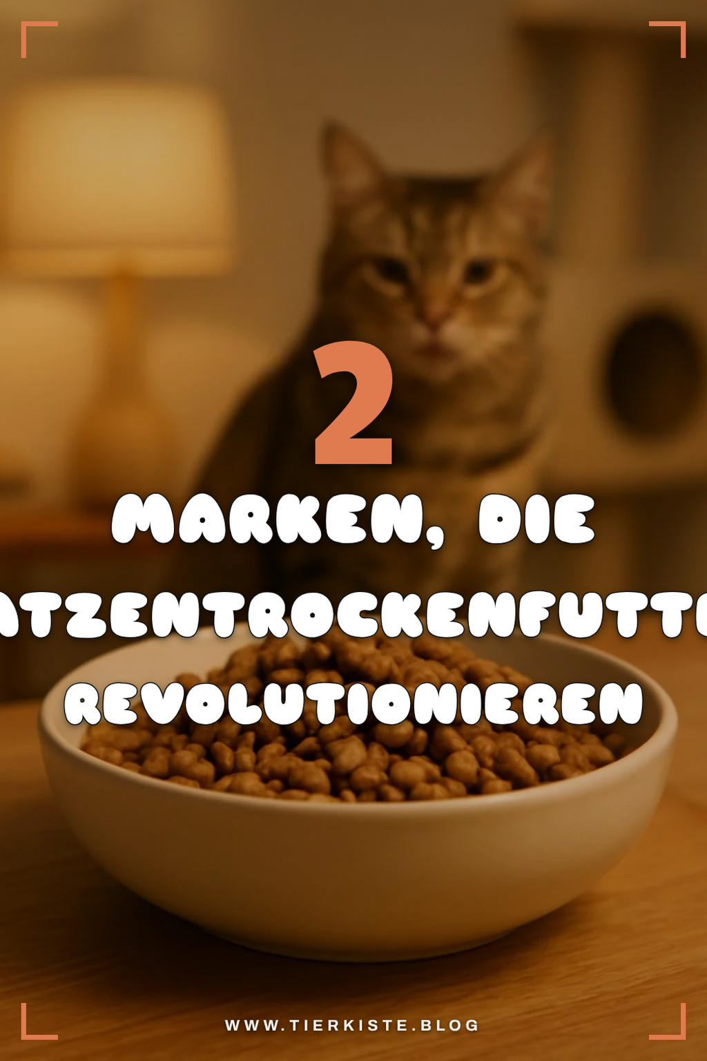 Die besten Marken für Katzentrockenfutter