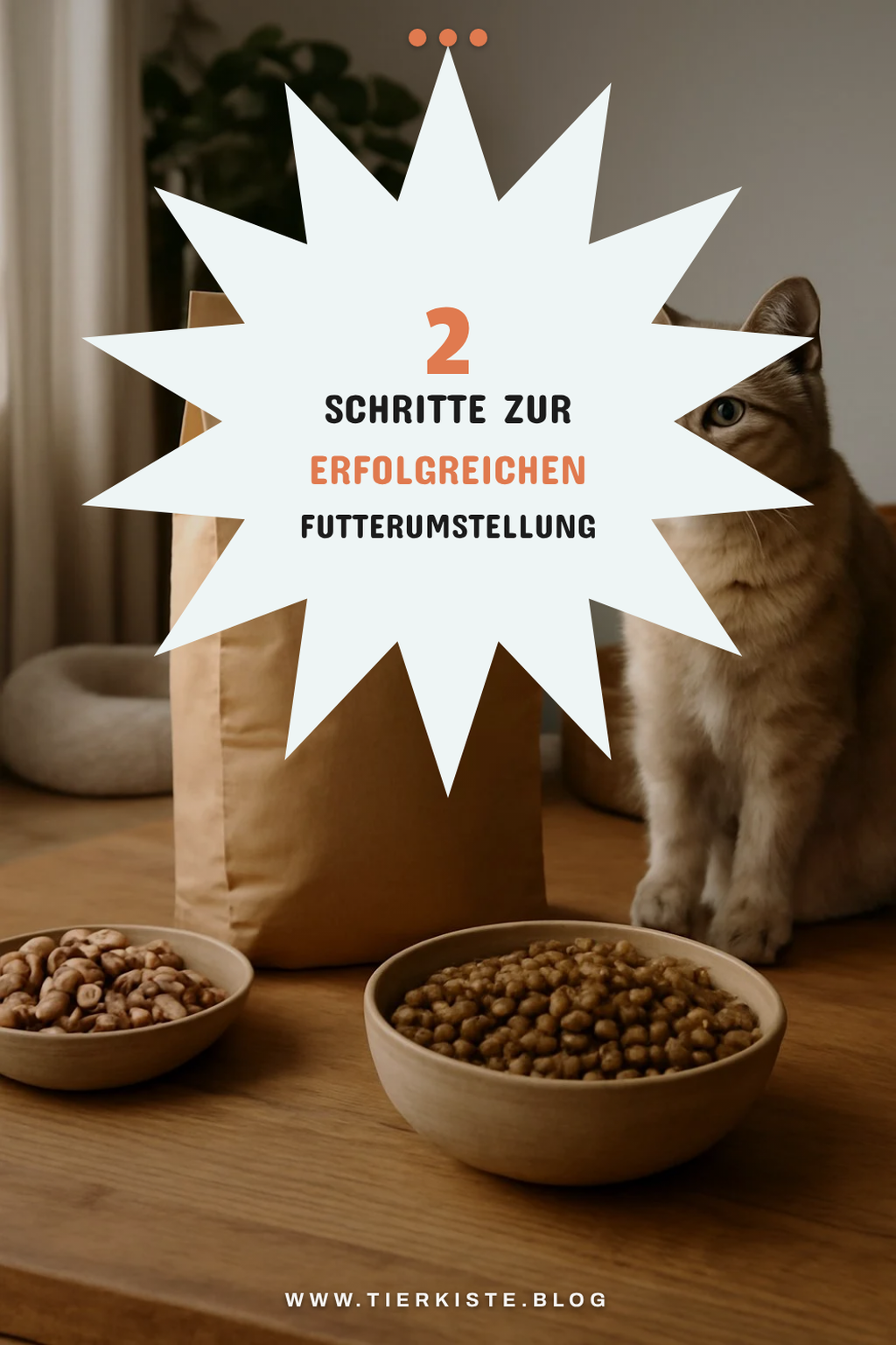 Tipps zur Futterumstellung