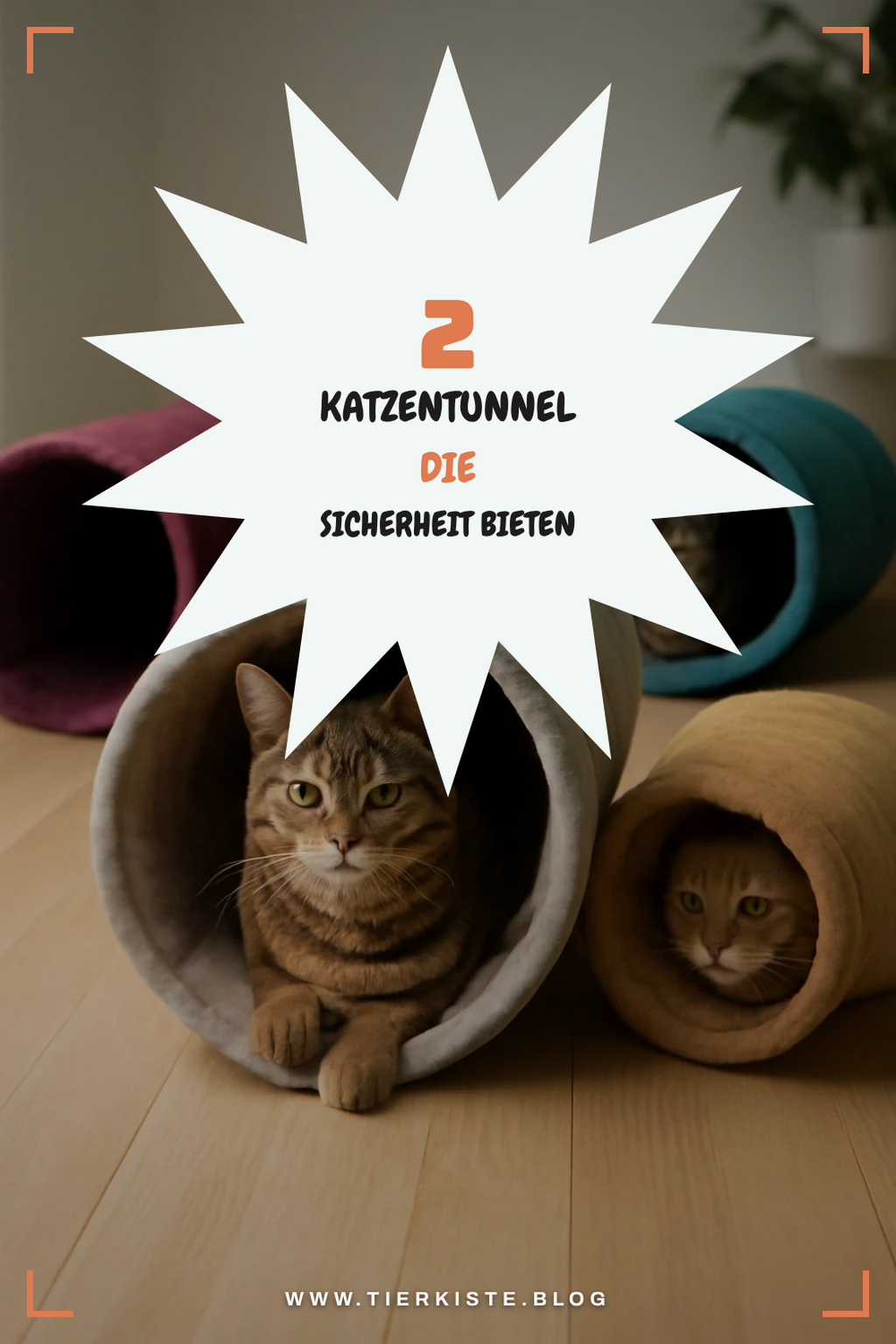 Katzentunnel für mehr Sicherheit