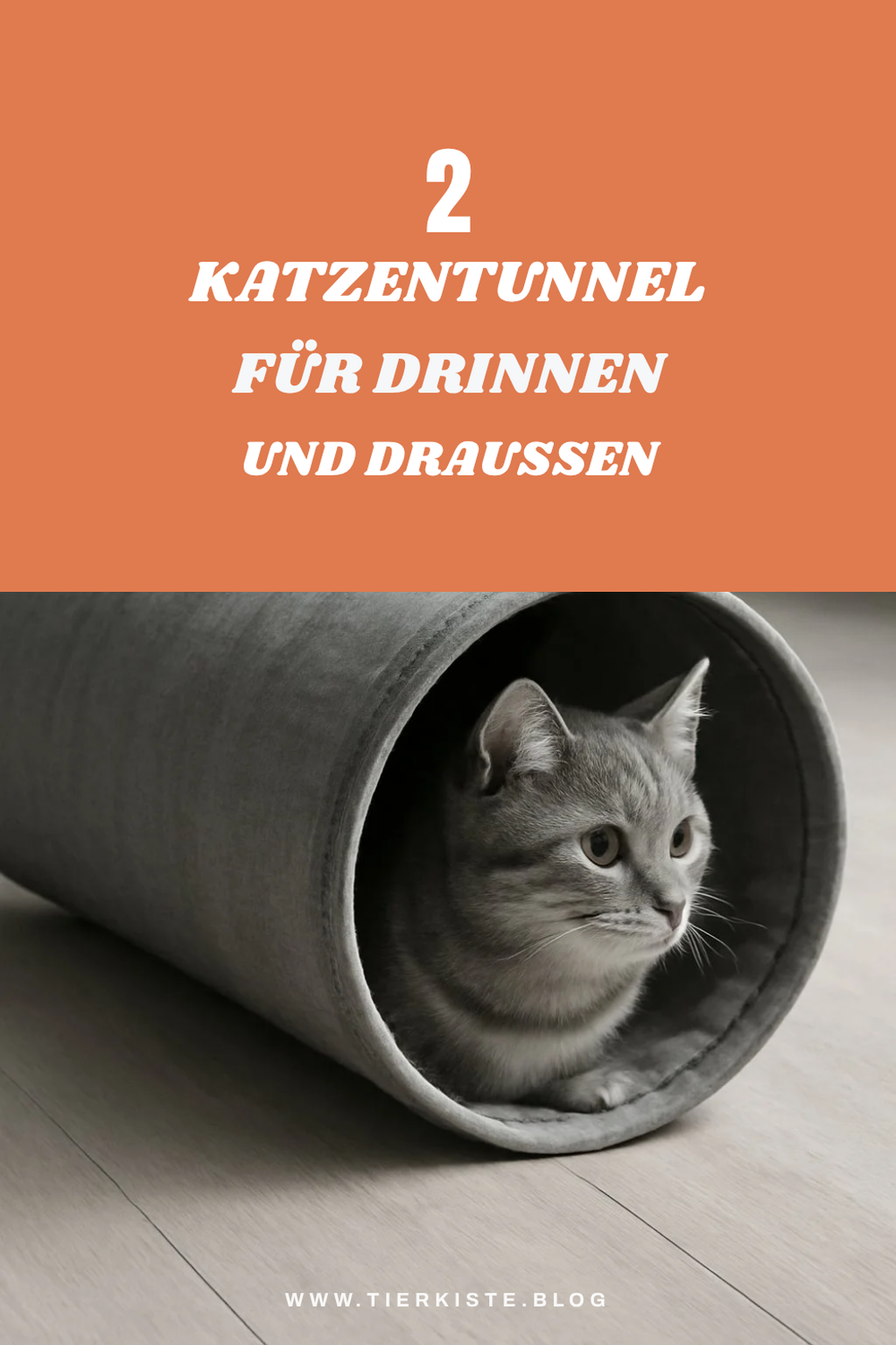Katzentunnel für drinnen und draußen