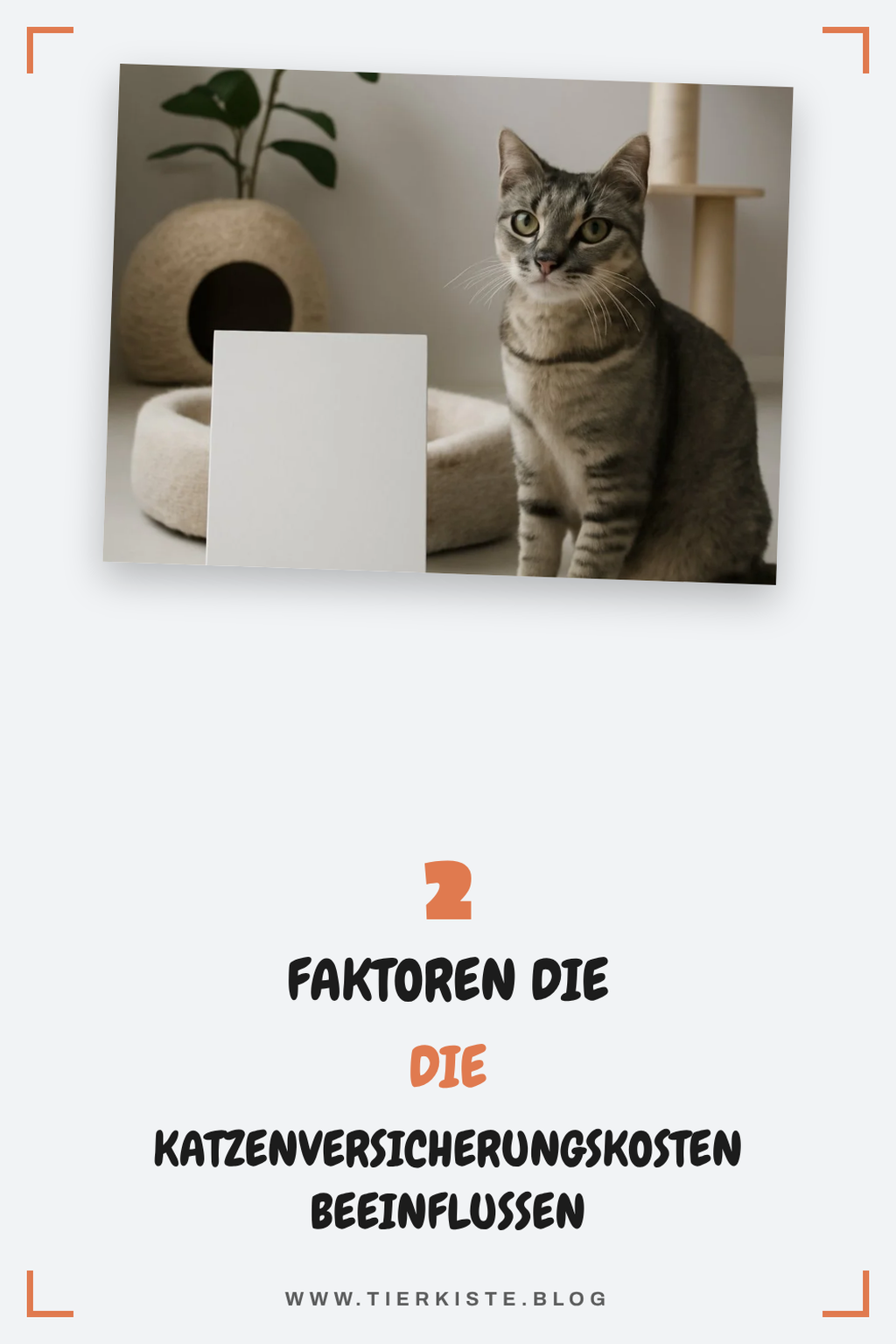 Diese Faktoren beeinflussen die Kosten deiner Katzenversicherung