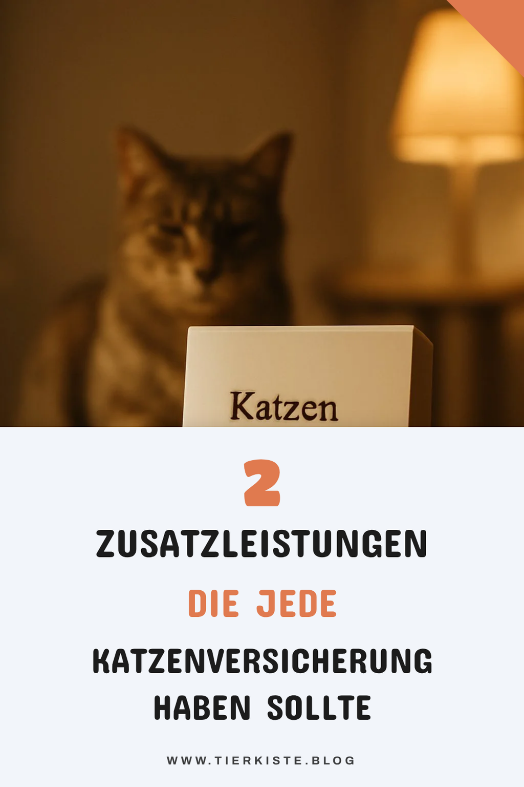 Wichtige Zusatzleistungen für deine Katzenversicherung