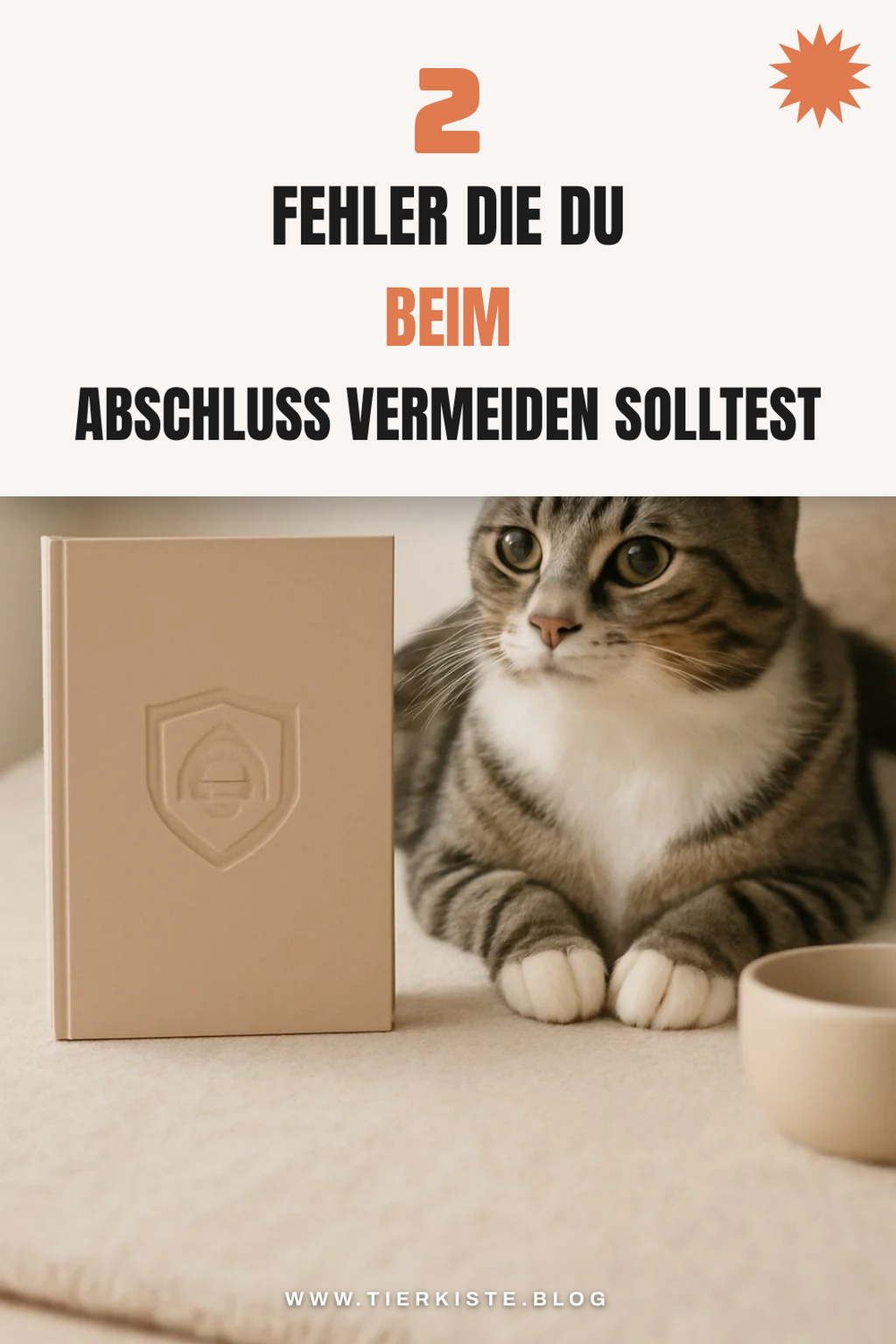 Häufige Fehler beim Abschluss einer Katzenversicherung
