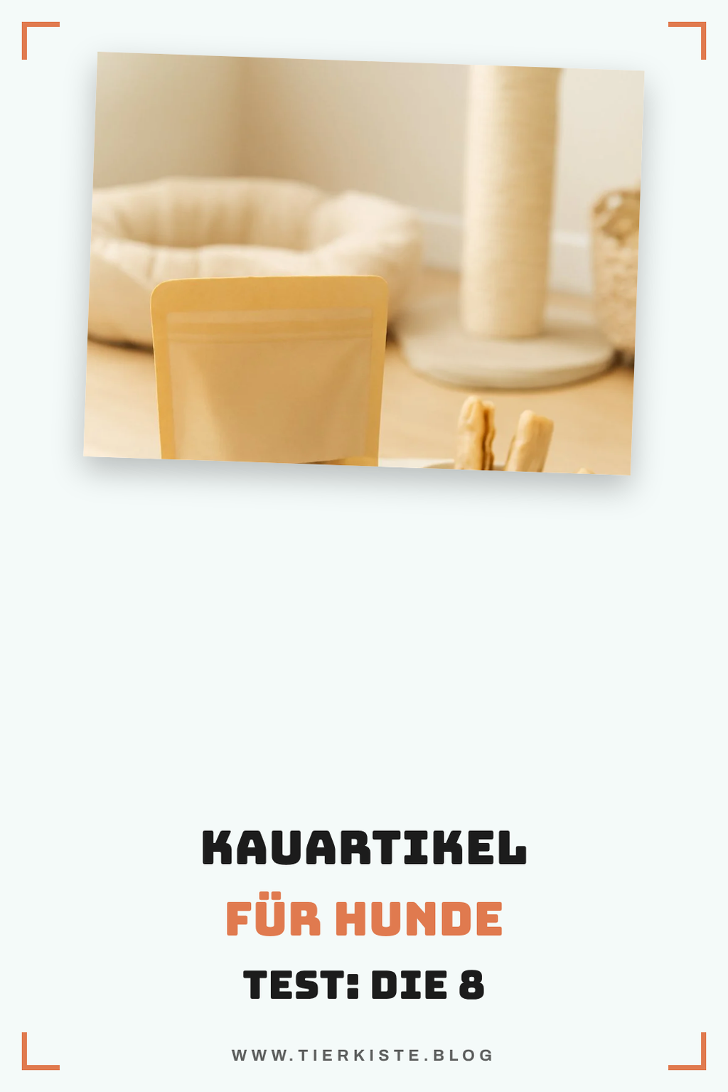 Kauartikel für Hunde Test: Die 8 besten im Vergleich