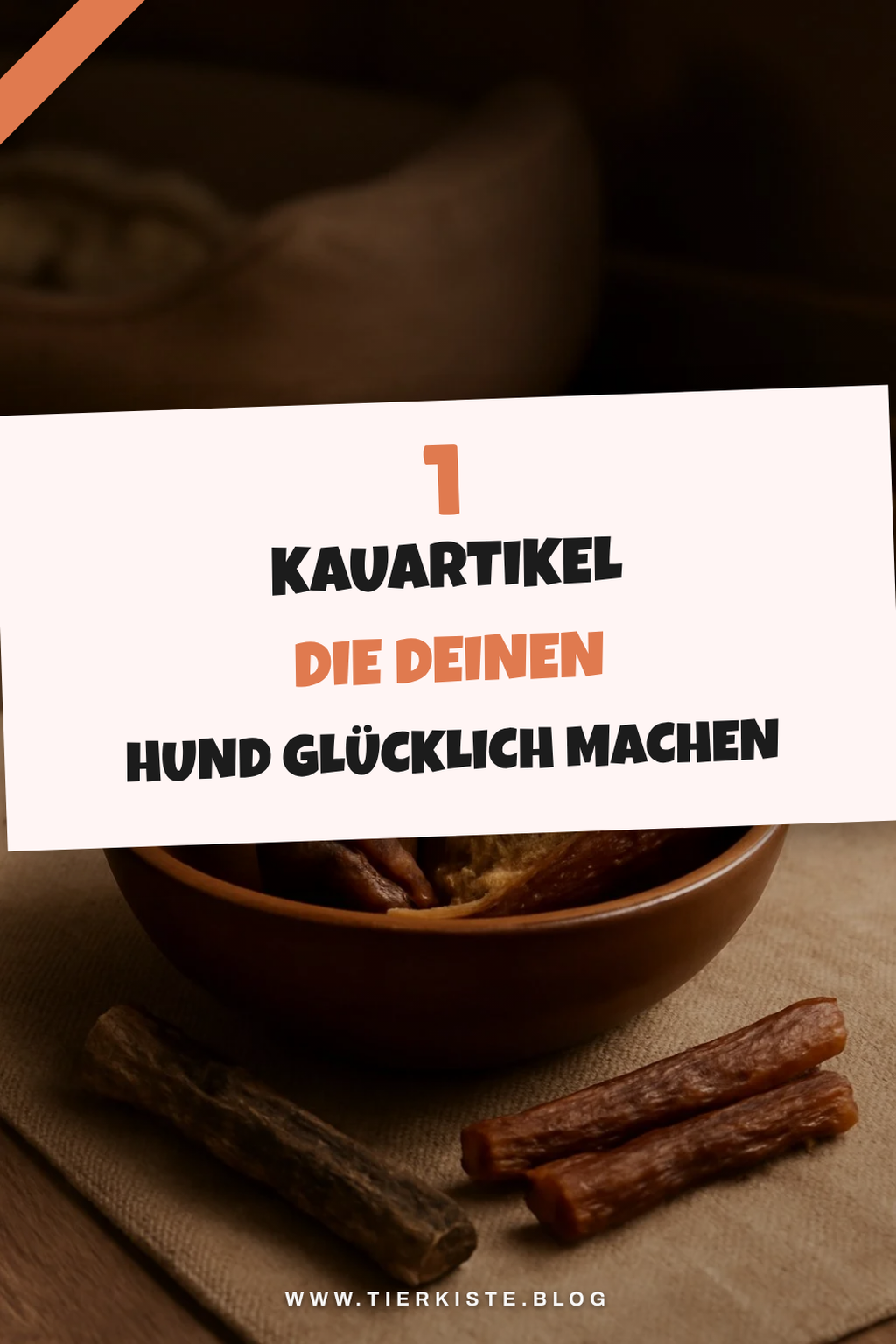 Die besten Kauartikel für Hunde: Was du wissen musst