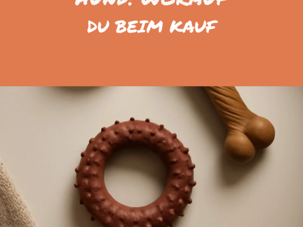 Kauartikel Hund: Worauf du beim Kauf achten musst