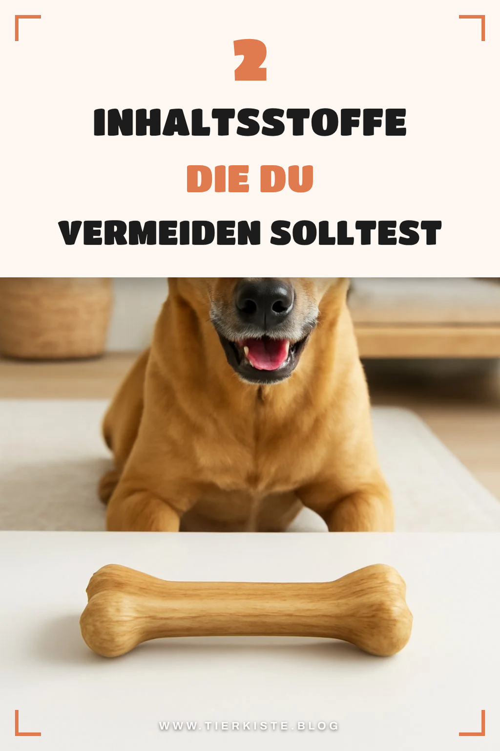 Welche Inhaltsstoffe sind schädlich für Hunde?