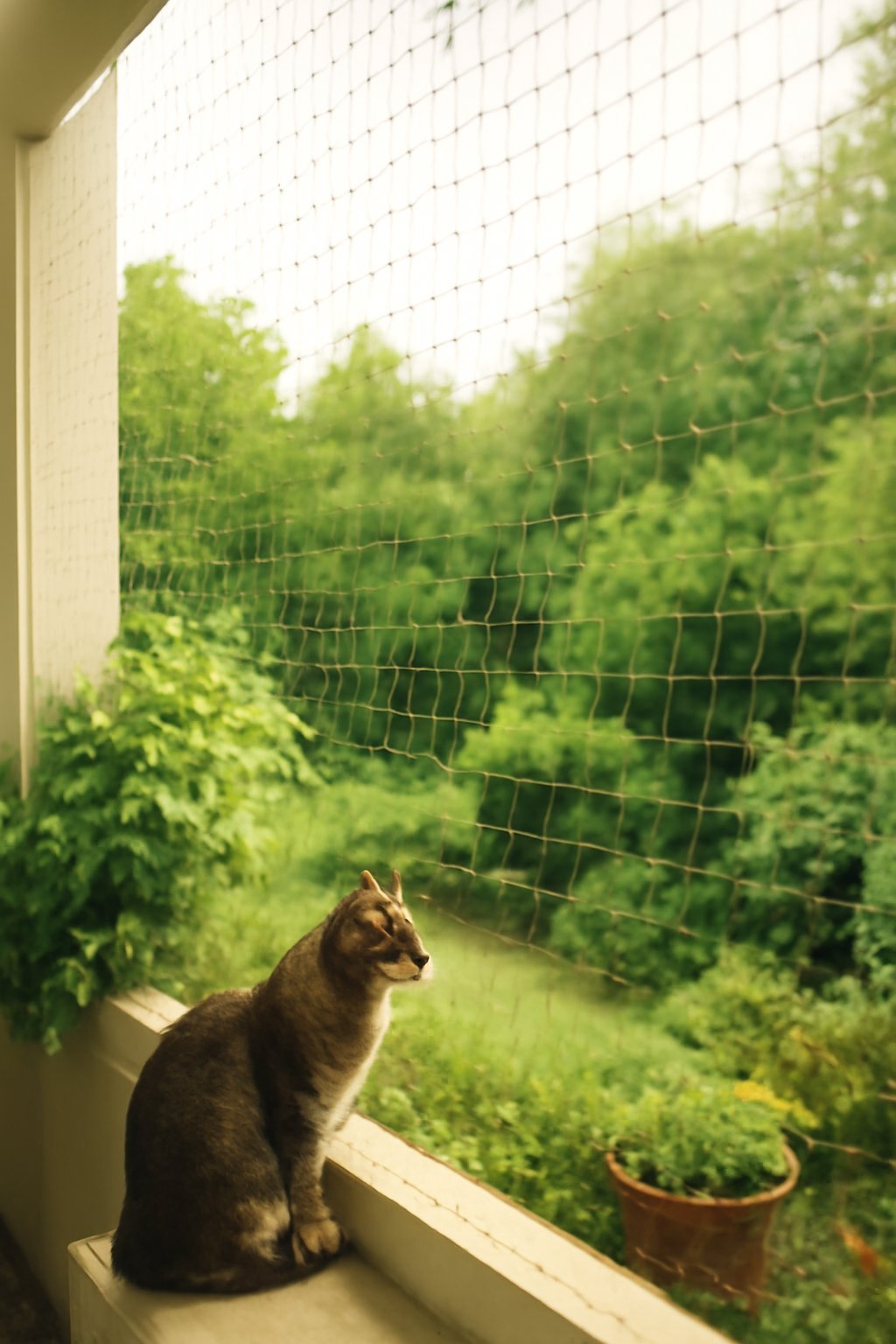 Balkon Netz Befestigungsset