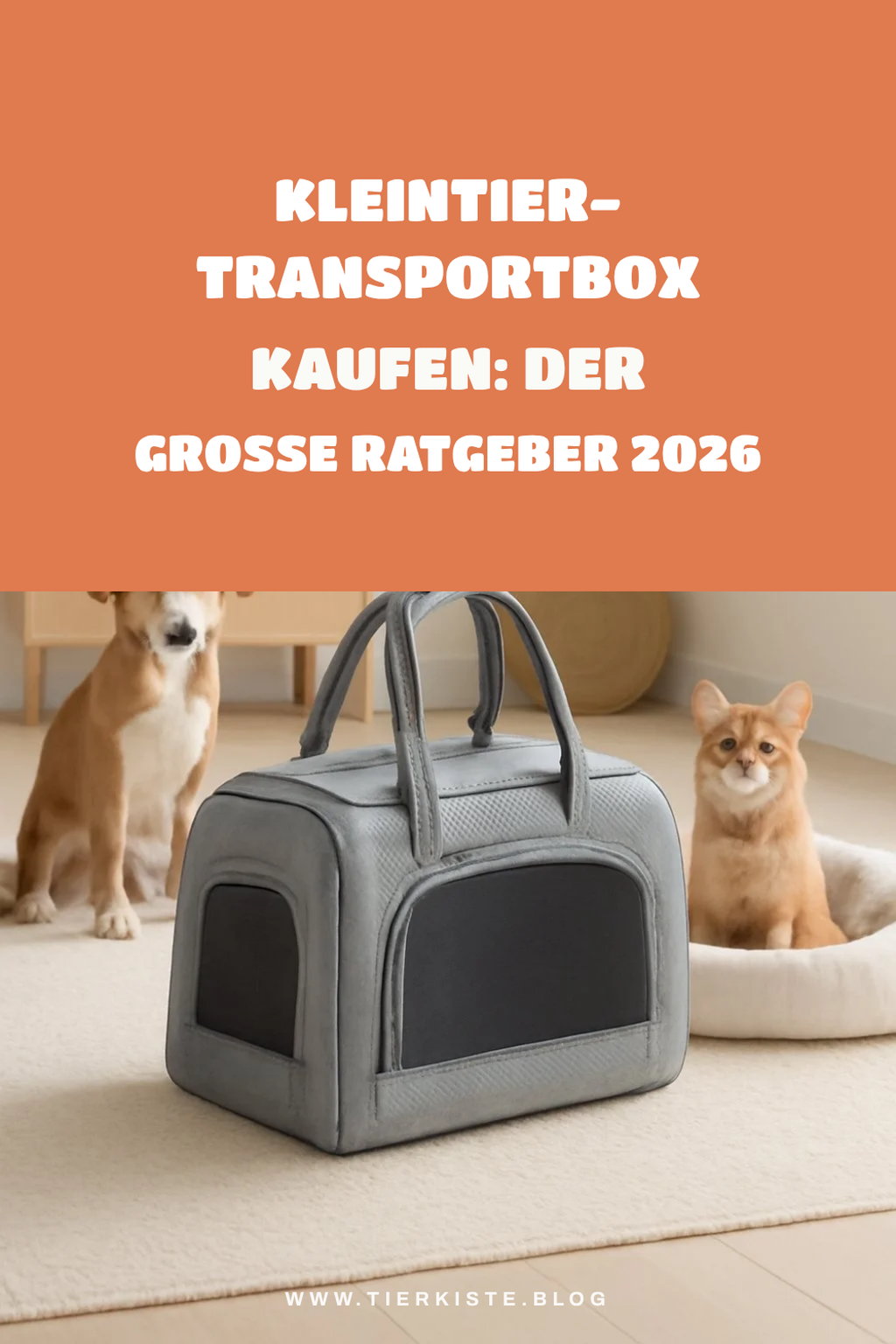 Kleintier-Transportbox kaufen: Der große Ratgeber 2026