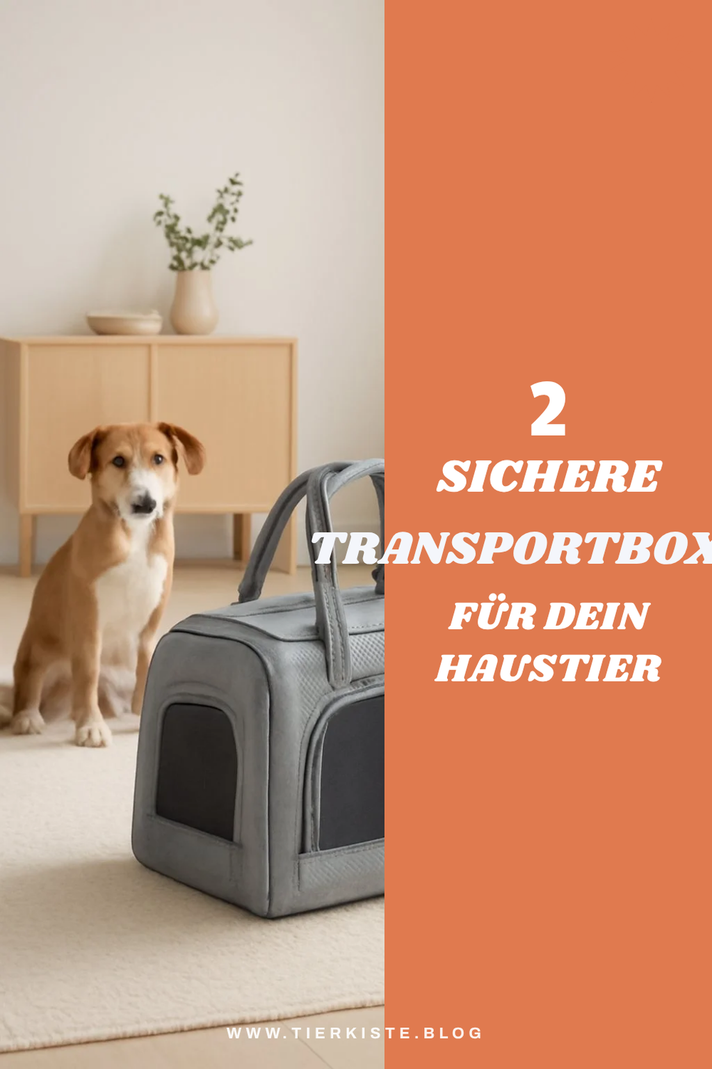 Sichere Transportboxen für kleine Tiere