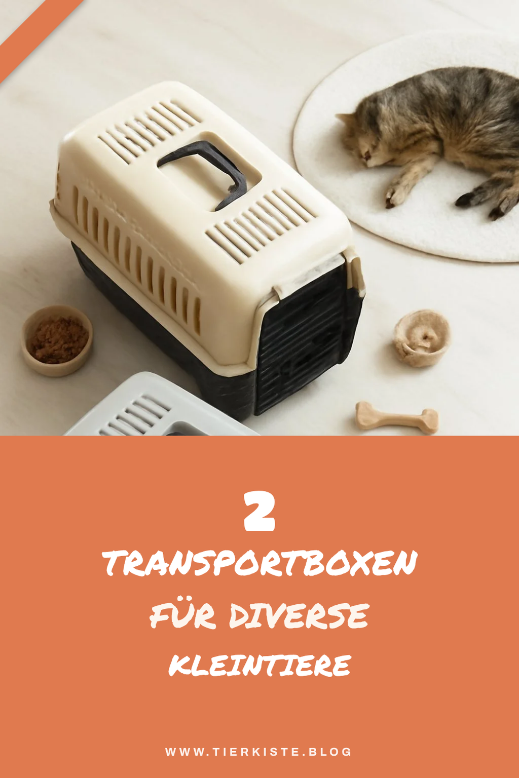 Transportboxen für verschiedene Kleintiere