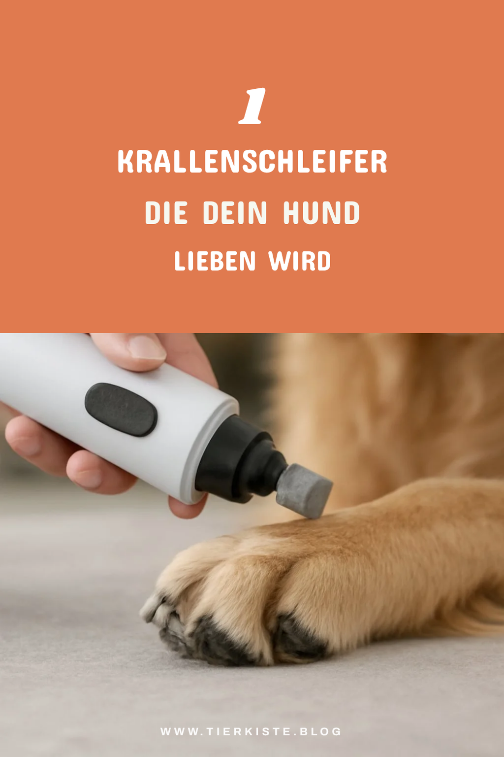 Mehr Empfehlungen aus dieser Kategorie