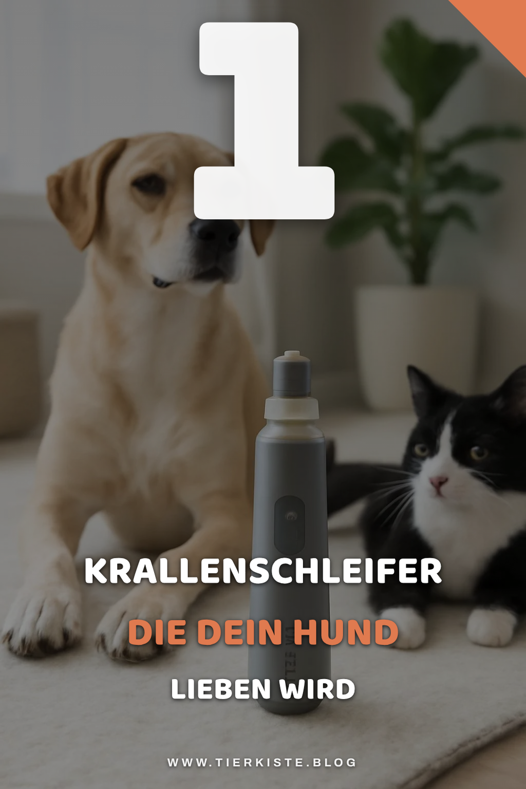 Bonus-Ideen für mehr Auswahl