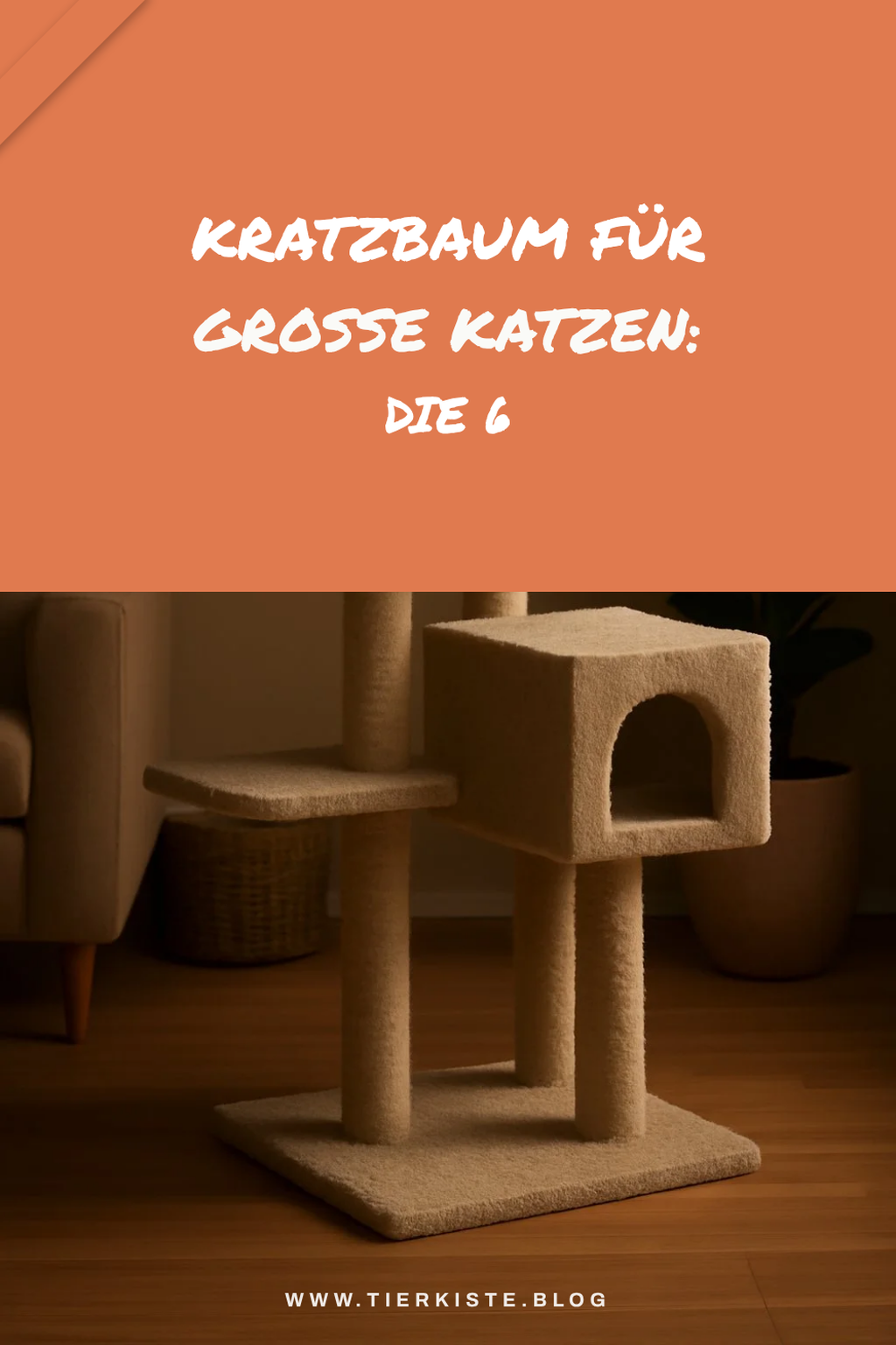Kratzbaum für große Katzen: Die 6 stabilsten Modelle
