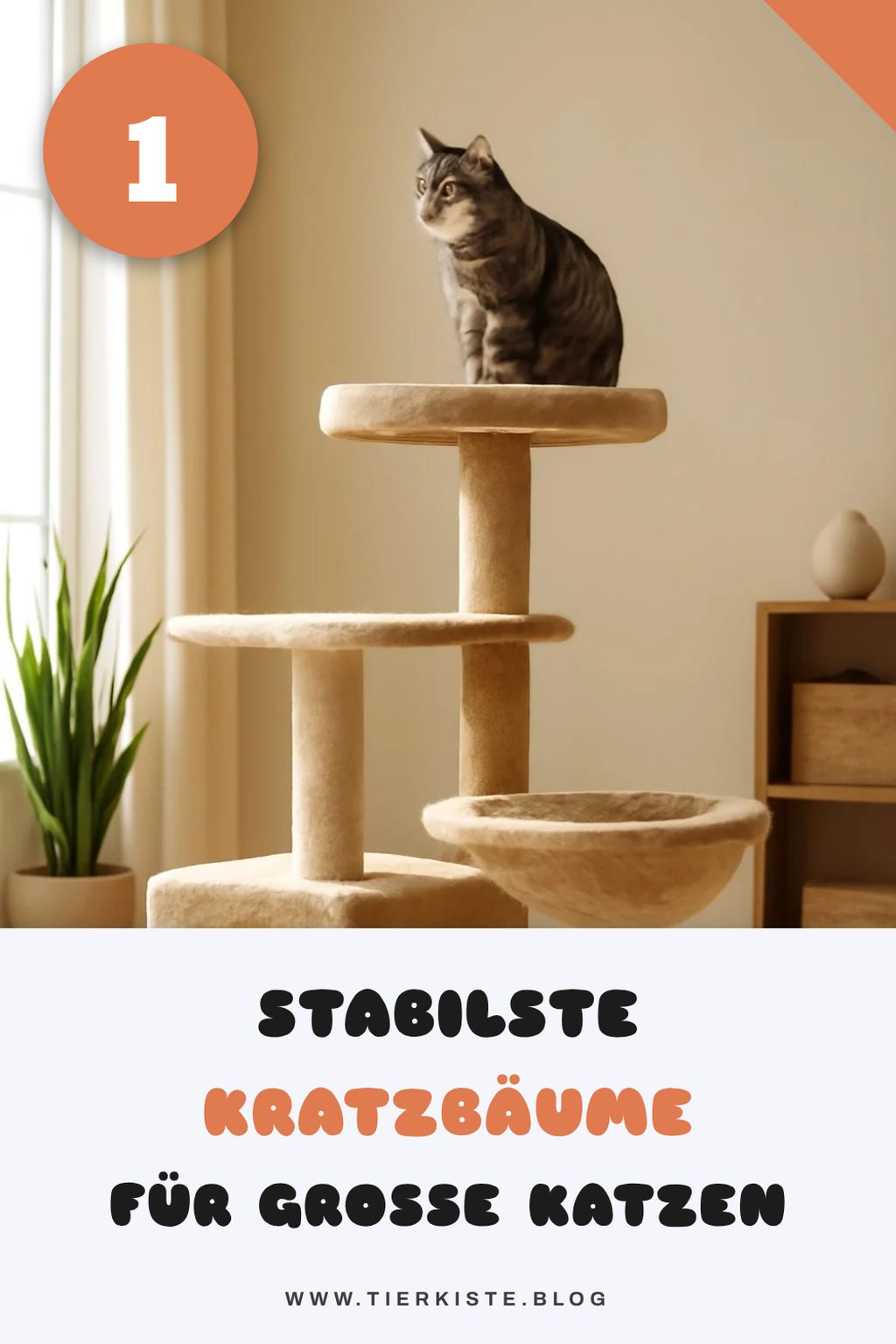 Die 8 besten Kratzbäume für große Katzen, die stabil sind