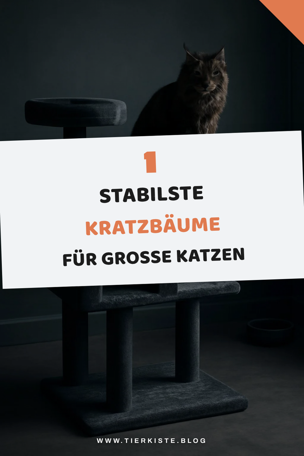 Zusätzliche Tipps, die noch reinpassen